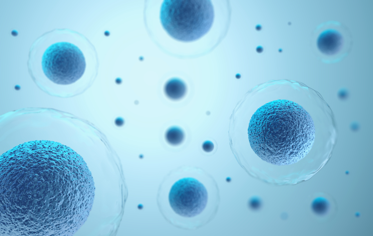 話題の次世代エイジングケア「幹細胞」とは？